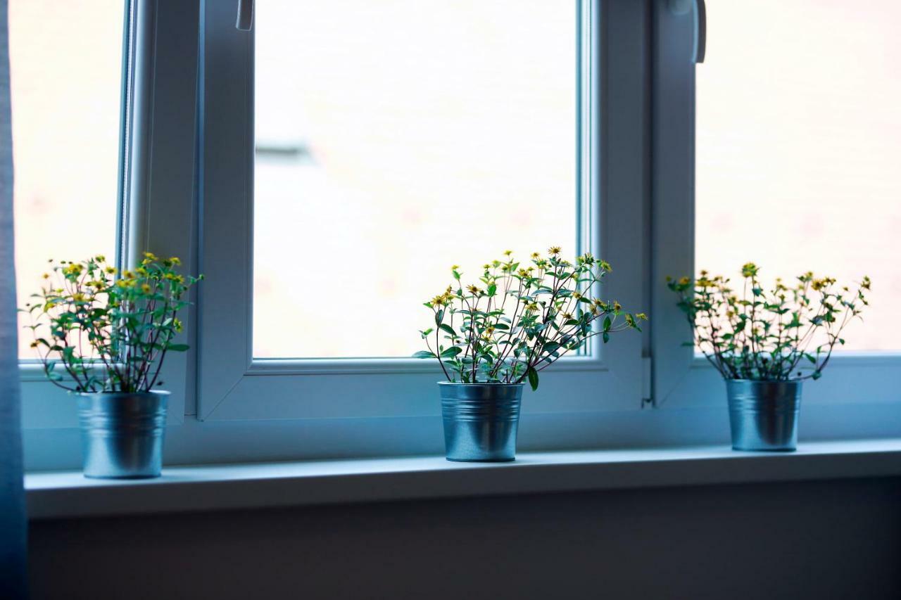 Apartment Tkalcha4u *